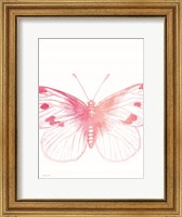 Framed Pink Butterfly III