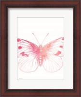 Framed Pink Butterfly III