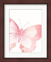 Framed Pink Butterfly V