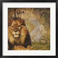 Framed Taste of Africa Lion