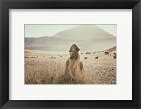 Framed Desert Camel