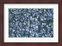 Framed Lilac Closeup