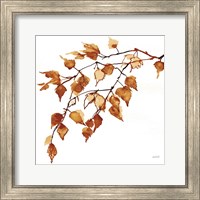 Framed 'Colors of the Fall VIII' border=