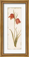 Framed Red Tulip Panel Light