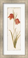 Framed Red Tulip Panel Light
