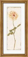 Framed Pale Rose Panel Light