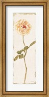 Framed Pale Rose Panel Light