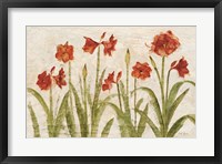 Framed Row of Red Amaryllis Light