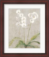 Framed Orchid Light