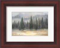 Framed Misty Pines