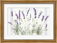 Framed Floursack Lavender V