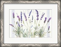 Framed Floursack Lavender V