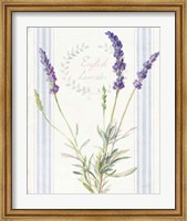 Framed Floursack Lavender IV