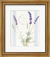 Framed 'Floursack Lavender IV' border=