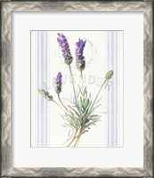 Framed Floursack Lavender III