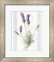Framed Floursack Lavender III