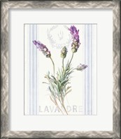 Framed Floursack Lavender II