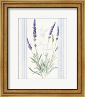 Framed 'Floursack Lavender I' border=