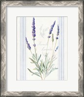 Framed Floursack Lavender I