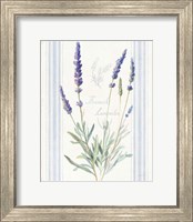 Framed Floursack Lavender I