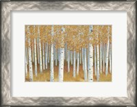 Framed Forest of Gold