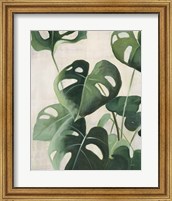 Framed Tropical Study IV