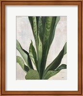 Framed 'Tropical Study III' border=