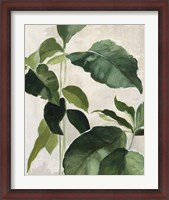 Framed Tropical Study II