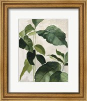 Framed Tropical Study II