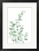 Eucalyptus I Framed Print