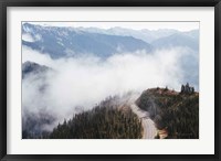 Framed Hurricane Ridge III