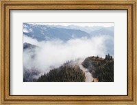 Framed Hurricane Ridge III