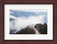 Framed Hurricane Ridge III