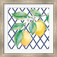Framed 'Everyday Chinoiserie Lemons II' border=