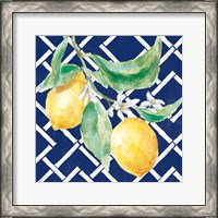 Framed 'Everyday Chinoiserie Lemons I' border=