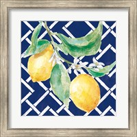 Framed Everyday Chinoiserie Lemons I