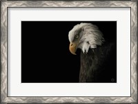 Framed Eagle Bow