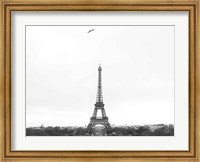 Framed Birds View of Paris