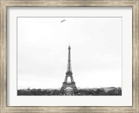 Framed Birds View of Paris