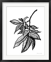 Framed Ink Leaves