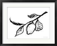 Framed Ink Lemon