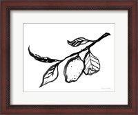 Framed Ink Lemon