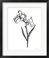 Framed Ink Flower II