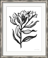 Framed Ink Flower I