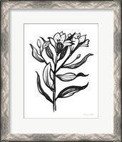 Framed Ink Flower I