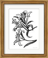 Framed Ink Lilies II