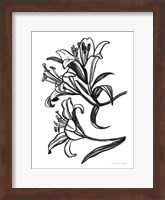 Framed Ink Lilies II