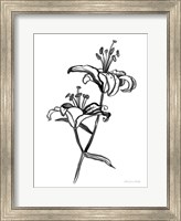 Framed Ink Lilies I