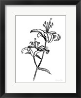Ink Lilies I Framed Print