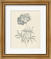 Framed Eden Floral II